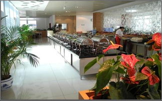 北京實心實意餐飲管理圖冊 提升餐飲運營的藝術與科學